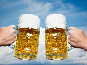 Offers on beer tours (beer excursions)