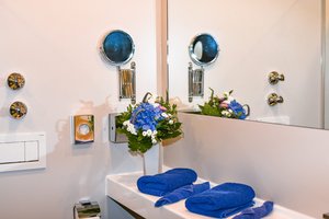 Bathroom hotel blue carp